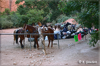 Eingang zum Campingplatz